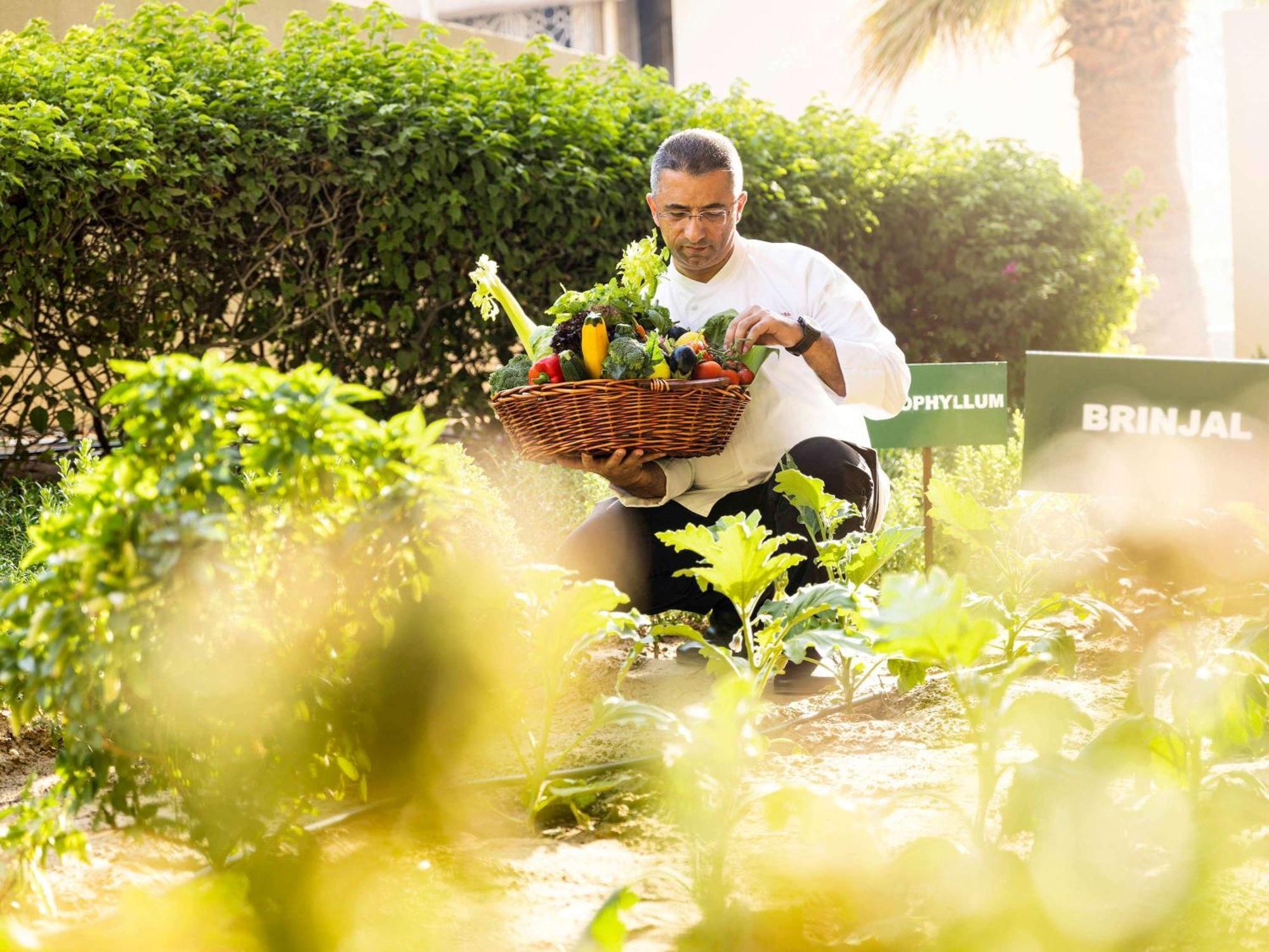 Swissôtel Al Ghurair Dubai Bagian luar foto Chef in the garden